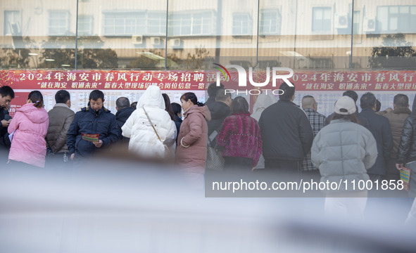 Job seekers are looking at job requirements at the 2024 Spring Festival human resources trade fair in Haian, East China's Jiangsu province,...