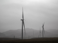 Wind turbines are standing under a sandstorm in Yongchang, Gansu Province, China, on February 17, 2024. (