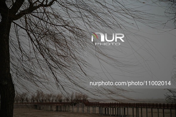 A tree and land are being engulfed by a sandstorm in Yongchang, Gansu Province, China, on February 17, 2024. 