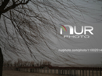 A tree and land are being engulfed by a sandstorm in Yongchang, Gansu Province, China, on February 17, 2024. (