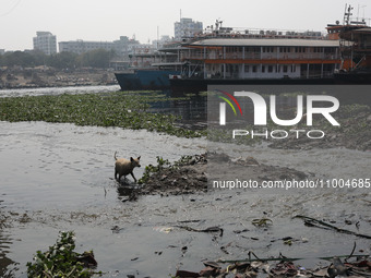 A view of the Buriganga River, in Dhaka, Bangladesh on February 18, 2024, reveals it as one of the most polluted rivers in the world. Thousa...