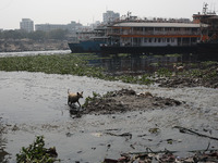 A view of the Buriganga River, in Dhaka, Bangladesh on February 18, 2024, reveals it as one of the most polluted rivers in the world. Thousa...