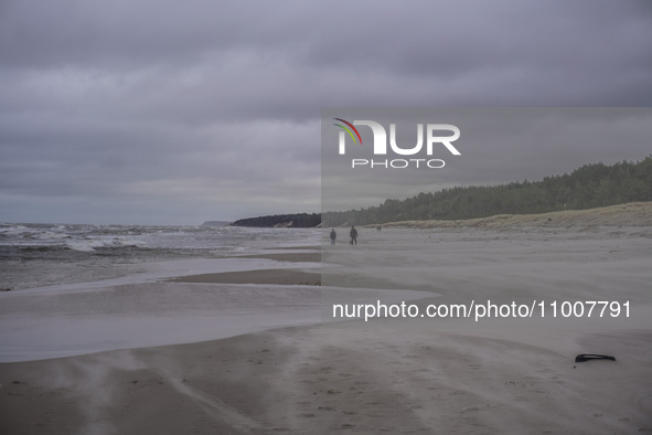 The coast of the Baltic Sea is being destroyed by a winter storm, with fallen cliffs and uprooted trees visible in Oslonino, Poland, on Janu...