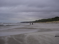 The coast of the Baltic Sea is being destroyed by a winter storm, with fallen cliffs and uprooted trees visible in Oslonino, Poland, on Janu...