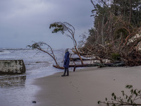 The coast of the Baltic Sea is being destroyed by a winter storm, with fallen cliffs and uprooted trees visible in Oslonino, Poland, on Janu...