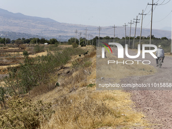 A person is riding a bicycle next to Zumpango Lagoon, which is affected by drought due to the lack of rain, in Zumpango de Ocampo, Mexico, o...