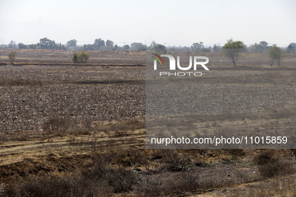 The Zumpango Lagoon in Zumpango de Ocampo, Mexico, is experiencing the effects of drought, with an area of 20 hectares impacted due to the l...