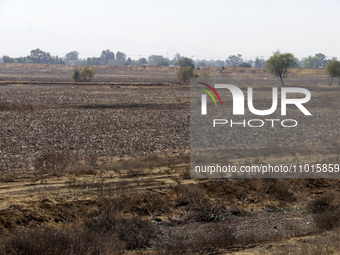 The Zumpango Lagoon in Zumpango de Ocampo, Mexico, is experiencing the effects of drought, with an area of 20 hectares impacted due to the l...