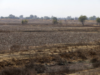 The Zumpango Lagoon in Zumpango de Ocampo, Mexico, is experiencing the effects of drought, with an area of 20 hectares impacted due to the l...