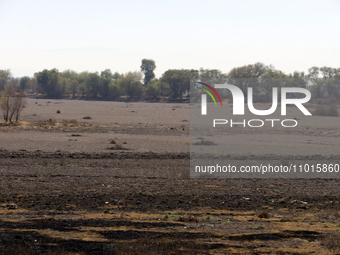 The Zumpango Lagoon in Zumpango de Ocampo, Mexico, is experiencing the effects of drought, with an area of 20 hectares impacted due to the l...