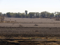 The Zumpango Lagoon in Zumpango de Ocampo, Mexico, is experiencing the effects of drought, with an area of 20 hectares impacted due to the l...