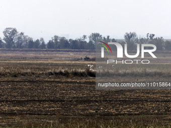 The Zumpango Lagoon in Zumpango de Ocampo, Mexico, is experiencing the effects of drought, with an area of 20 hectares impacted due to the l...