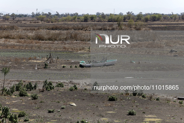 Boats are being abandoned inside the Zumpango Lagoon in Zumpango de Ocampo, Mexico, on February 21, 2024, due to the drought affecting the l...