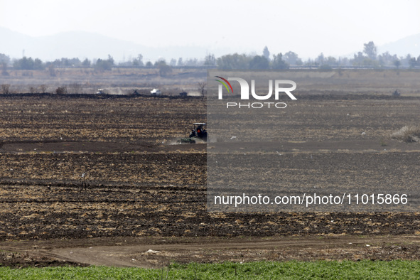 The Zumpango Lagoon in Zumpango de Ocampo, Mexico, is experiencing the effects of drought, with an area of 20 hectares impacted due to the l...