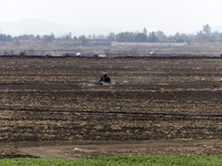 The Zumpango Lagoon in Zumpango de Ocampo, Mexico, is experiencing the effects of drought, with an area of 20 hectares impacted due to the l...