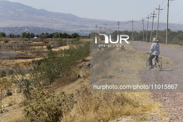 A person is riding a bicycle next to Zumpango Lagoon, which is affected by drought due to the lack of rain, in Zumpango de Ocampo, Mexico, o...