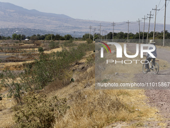 A person is riding a bicycle next to Zumpango Lagoon, which is affected by drought due to the lack of rain, in Zumpango de Ocampo, Mexico, o...