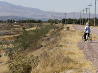 A person is riding a bicycle next to Zumpango Lagoon, which is affected by drought due to the lack of rain, in Zumpango de Ocampo, Mexico, o...