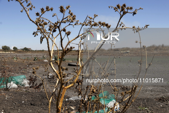 The Zumpango Lagoon in Zumpango de Ocampo, Mexico, is experiencing the effects of drought, with an area of 20 hectares impacted due to the l...