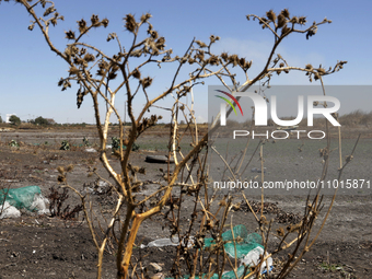 The Zumpango Lagoon in Zumpango de Ocampo, Mexico, is experiencing the effects of drought, with an area of 20 hectares impacted due to the l...