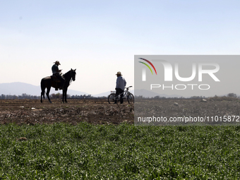 A farmer is riding his horse next to Zumpango Lagoon, which is affected by drought due to the lack of rain, in Zumpango de Ocampo, Mexico, o...