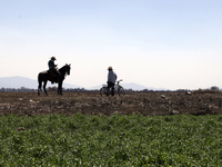 A farmer is riding his horse next to Zumpango Lagoon, which is affected by drought due to the lack of rain, in Zumpango de Ocampo, Mexico, o...