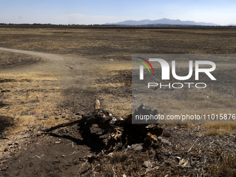 The Zumpango Lagoon in Zumpango de Ocampo, Mexico, is experiencing the effects of drought, with an area of 20 hectares impacted due to the l...