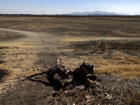 The Zumpango Lagoon in Zumpango de Ocampo, Mexico, is experiencing the effects of drought, with an area of 20 hectares impacted due to the l...