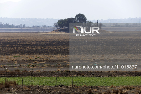 The Zumpango Lagoon in Zumpango de Ocampo, Mexico, is experiencing the effects of drought, with an area of 20 hectares impacted due to the l...