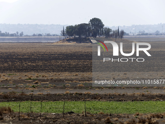 The Zumpango Lagoon in Zumpango de Ocampo, Mexico, is experiencing the effects of drought, with an area of 20 hectares impacted due to the l...