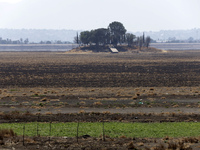 The Zumpango Lagoon in Zumpango de Ocampo, Mexico, is experiencing the effects of drought, with an area of 20 hectares impacted due to the l...