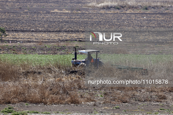 A farmer is plowing the land on a tractor in the affected area of the Zumpango lagoon, which is experiencing drought due to the lack of rain...