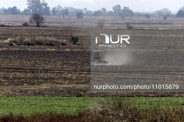 A farmer is plowing the land on a tractor in the affected area of the Zumpango lagoon, which is experiencing drought due to the lack of rain...