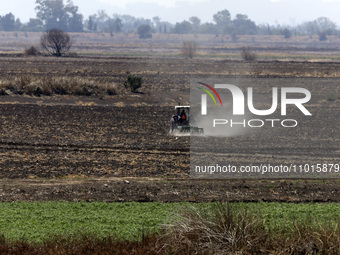 A farmer is plowing the land on a tractor in the affected area of the Zumpango lagoon, which is experiencing drought due to the lack of rain...