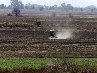 A farmer is plowing the land on a tractor in the affected area of the Zumpango lagoon, which is experiencing drought due to the lack of rain...