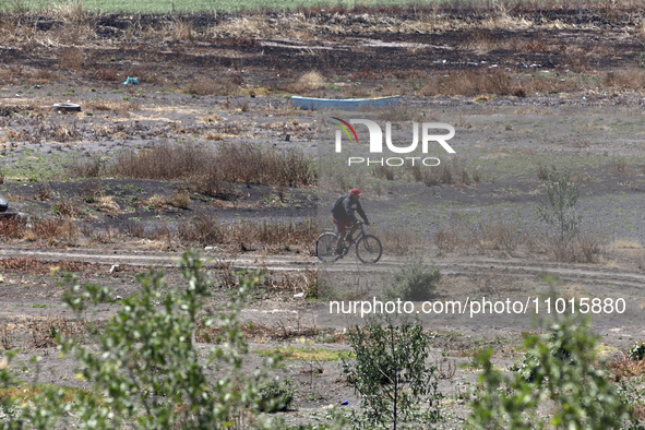 A person is riding a bicycle next to Zumpango Lagoon, which is affected by drought due to the lack of rain, in Zumpango de Ocampo, Mexico, o...