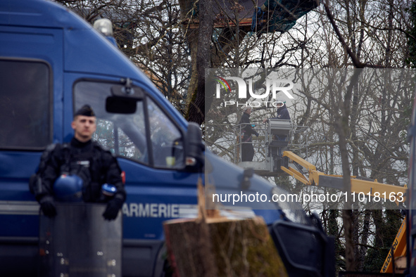 Michel Forst is speaking to an 'Ecureuil' living in the trees in Saix, Tarn, France, on February 22, 2024. As the United Nations Special Rap...