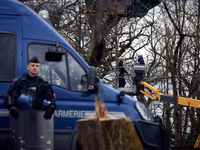 Michel Forst is speaking to an 'Ecureuil' living in the trees in Saix, Tarn, France, on February 22, 2024. As the United Nations Special Rap...