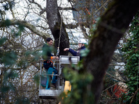 An 'Ecureuil' is discussing with Michel Forst in the 'Crem'Arbre' ZAD in Saix, Tarn, France, on February 22, 2024. Michel Forst, the United...