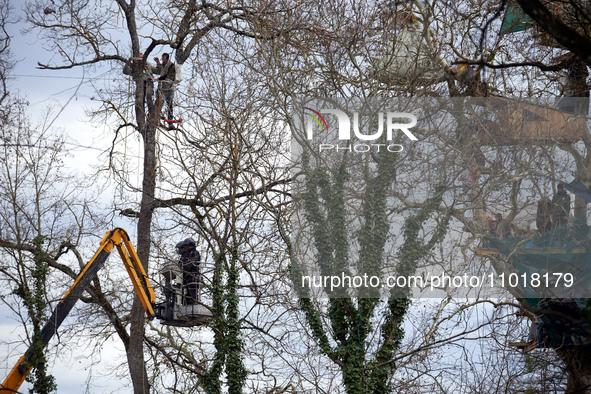 Police officers from the CNAMO, in the yellow basket, are attempting to arrest the two 'squirrels' perched in the tree. Michel Forst, the Un...