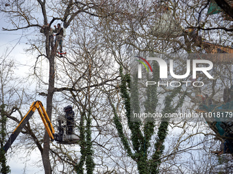 Police officers from the CNAMO, in the yellow basket, are attempting to arrest the two 'squirrels' perched in the tree. Michel Forst, the Un...