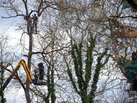 Police officers from the CNAMO, in the yellow basket, are attempting to arrest the two 'squirrels' perched in the tree. Michel Forst, the Un...