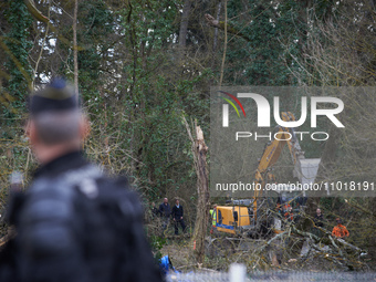 An excavator operated by NGE/ATOSCA has felled a tree. All work in this zone is prohibited until September 1, 2024. Michel Forst, the United...