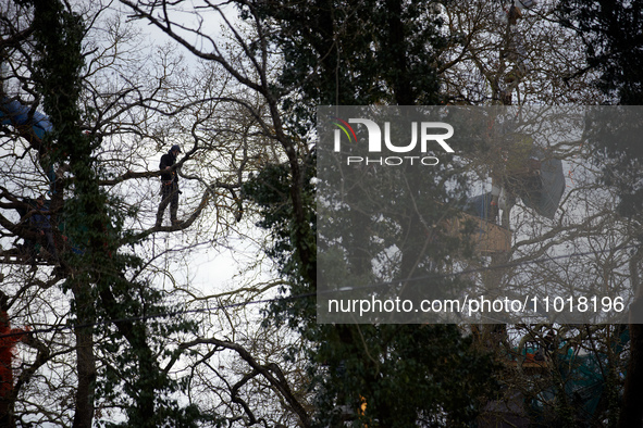 An 'Ecureuil' is standing in a tree at the 'Crem'Arbre' ZAD. Michel Forst, the United Nations Special Rapporteur on the situation of human r...