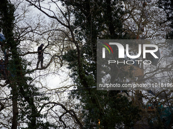 An 'Ecureuil' is standing in a tree at the 'Crem'Arbre' ZAD. Michel Forst, the United Nations Special Rapporteur on the situation of human r...