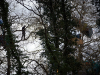 An 'Ecureuil' is standing in a tree at the 'Crem'Arbre' ZAD. Michel Forst, the United Nations Special Rapporteur on the situation of human r...