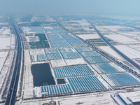 An aerial photo is showing a green vegetable planting base in Guiren Township, Suqian City, Jiangsu Province, East China, on February 25, 20...