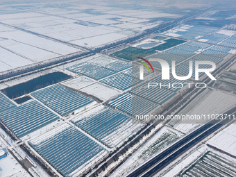 An aerial photo is showing a green vegetable planting base in Guiren Township, Suqian City, Jiangsu Province, East China, on February 25, 20...