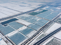 An aerial photo is showing a green vegetable planting base in Guiren Township, Suqian City, Jiangsu Province, East China, on February 25, 20...