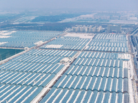 An aerial photo is showing a green vegetable planting base in Guiren Township, Suqian City, Jiangsu Province, East China, on February 25, 20...